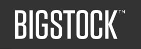 Banque d'images : logo bigstock